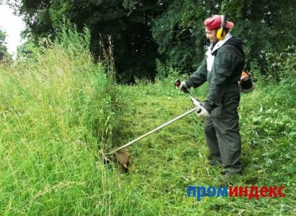 Фото Покос травы