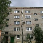 Фото №4 Спил деревьев, санитарная обрезка веток