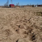 Фото №6 Вспашка, посадка газона, УБОРКА УЧАСТКА. Культивация.