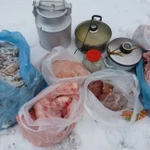 Фото №3 Передержка собак разных пород и кошек