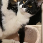 Фото №4 Гарик и Гошик