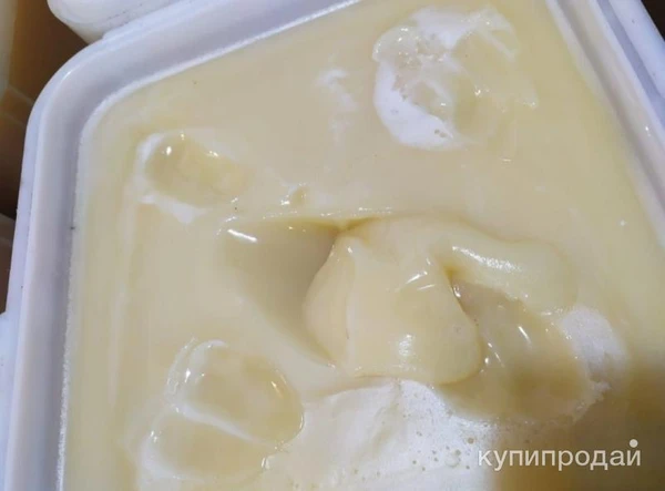 Фото Мед эспарцетовый