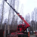 Фото №3 Спил аварийных деревьев 