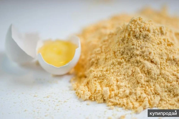 Фото Продам оптом яичный порошок