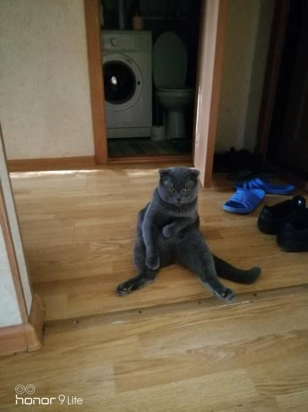 Фото Вязка