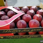 Фото №6 Продаем персики