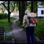Фото №4 СЭС услуги