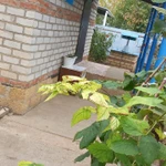 Фото №6 продаётся Дом 93 м2