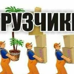 Грузчики