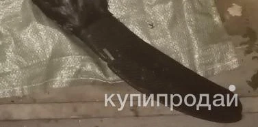 Фото Хвост бобра(свежемороженные)