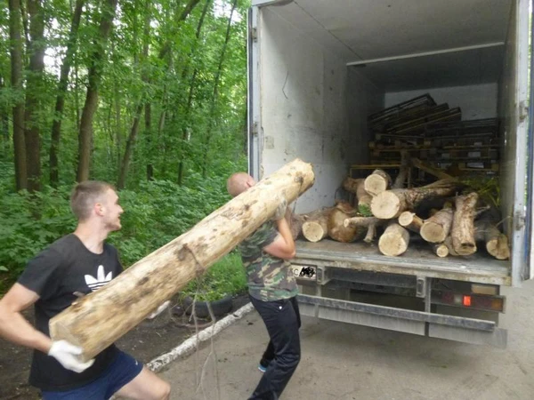 Фото Услуги разнорабочих в Краснодаре