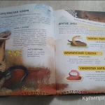 Фото №2 Книжка 4D