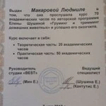 Фото №4 Груминг