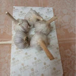 фото Продам чеснок