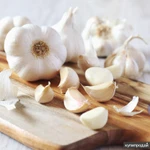 Фото №4 чеснок