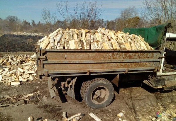 Фото Дрова колотые ( береза, осина, ольха).
