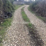 Фото №3 Лот  75008 Продаётся участок в СТ «Селена» Гагаринского района, 9 соток