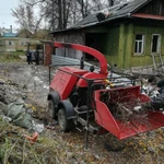 Фото №4 Спил, обрезка деревьев альпинистами и с автовышки. 