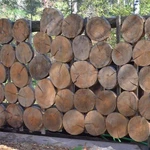 Фото №7 Изготовление заборов и оград из стволов и веток