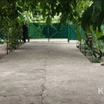 Фото №3 Дом 43 м2