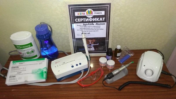 Фото Ультразвуковая чистка зубов собакам