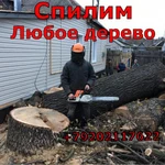 Спиливание деревьев 