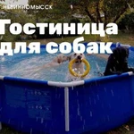 Передержка собак, гостиница для собак