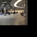 Фото №2 Грузчики-разнорабочие не дорого Соликамск