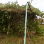 Фото №5 Продам земельный участок 24 сотки в Подмосковье