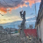 Фото №13 Спил деревьев.Удаление деревьев.Арбористика