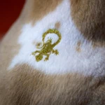 Фото №8 Стрижка кошек и собак без седации с выездом к клиенту