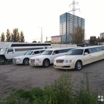 Аренда машин на свадьбу, лимузинов, автобусов
