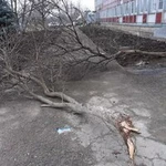 Фото №5 Ремонт Крыши. Ремонт ПОМЕЩЕНИЙ.