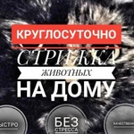 Стрижка собак и кошек. Ветврач на дом