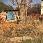 Фото №6 Безопасный и Профессиональный спил деревьев 