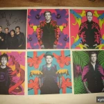 Фото №11 Die Toten Hosen "Laune Der Natur" BOX