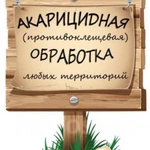 Фото №3 Уничтожение тараканов