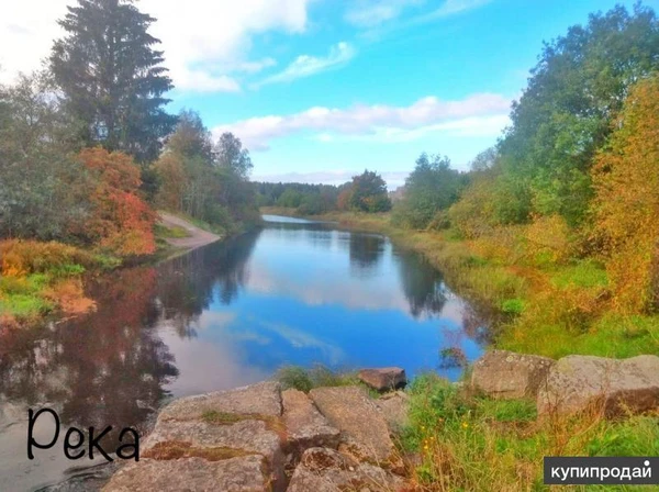 Фото Инвестирование загородной базы отдыха