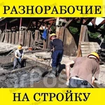 Фото №3 Разнорабочие, подсобники, землекопы, свой инструмент, дешево