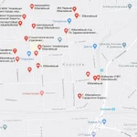 Возьму на передержку птицу, рептилию, грызуна, собаку