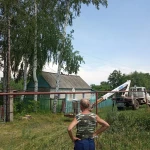 Фото №4 СПИЛ ДЕРЕВЬЕВ