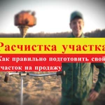 Фото №55 СПИЛ КОРЧЕВАНИЕ ВЫРАВНИВАНИЕ ПЛАНИРОВКА СПБ И ЛЕНОБЛАСТЬ.