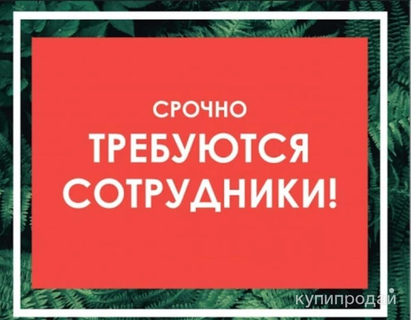 Фото Требуются рабочие разных специальносте !