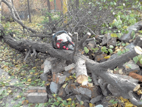 Фото Земельные работы