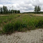 Фото №3 Покос травы