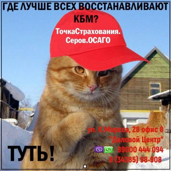 Фото ОСАГО. Страхование.Составление Деклараций 3 НДФЛ