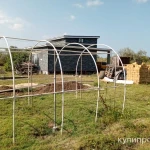 Фото №4 Продам участок СНТ "Янтарь".Камышовое шоссе.