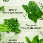 Фото №5 Короли Зелени дренажный напиток