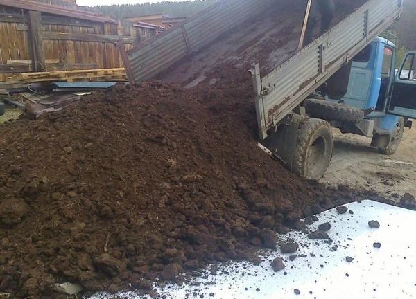 Фото Перегной навоз крупно рогатого скота