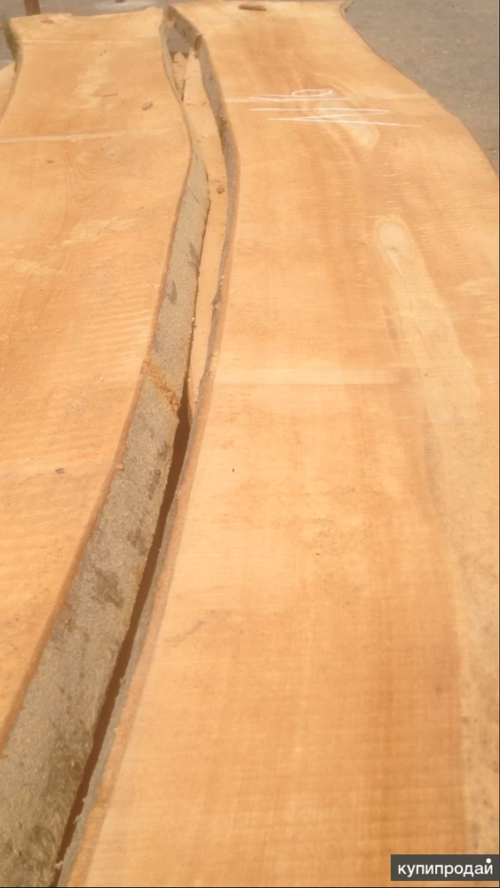 Фото Доска необрезная из Бука
